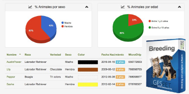 reports for dog breeders