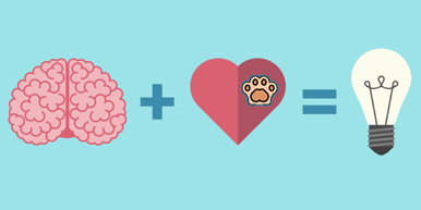 Emotional marketing, simple and effective for pet business