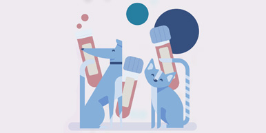 Usability applied to Pet Software