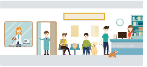 Waiting room management for Veterinarians