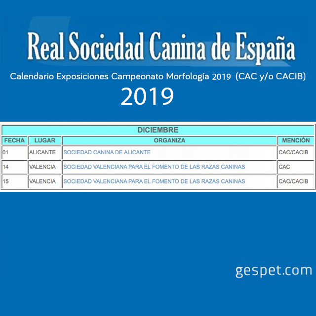shows de perros