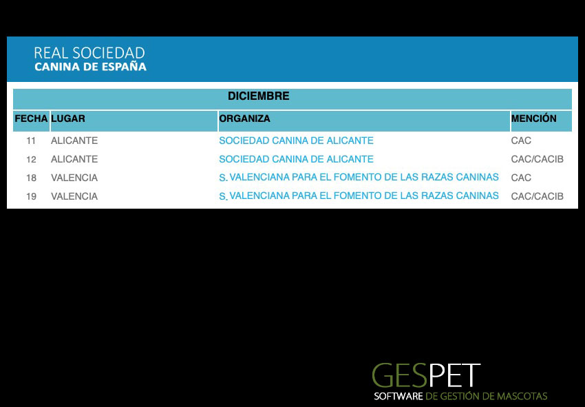 shows de perros