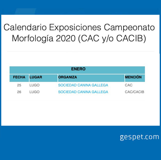 shows de perros