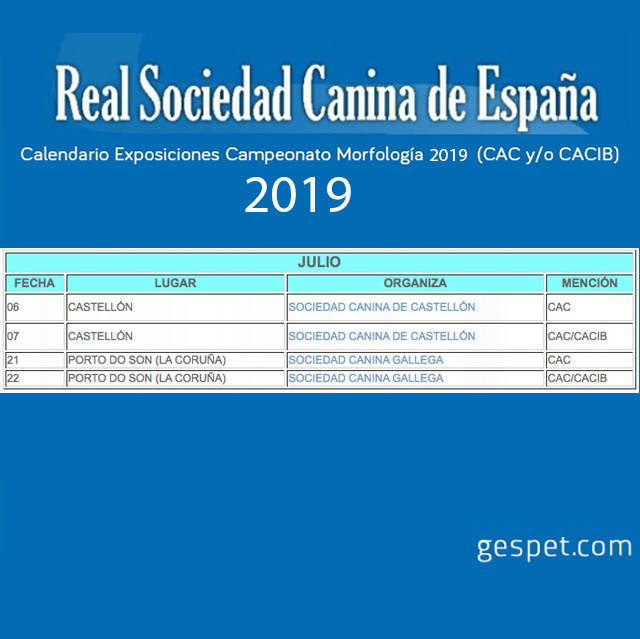 shows de perros