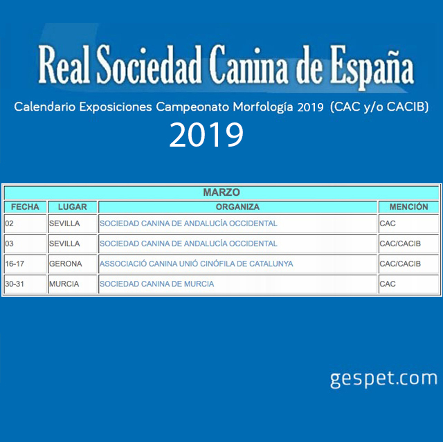 shows de perros