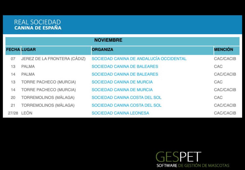shows de perros