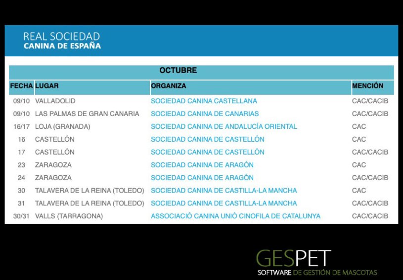 shows de perros