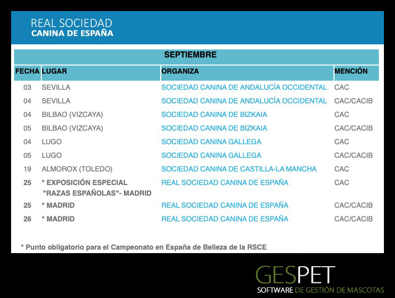 shows de perros