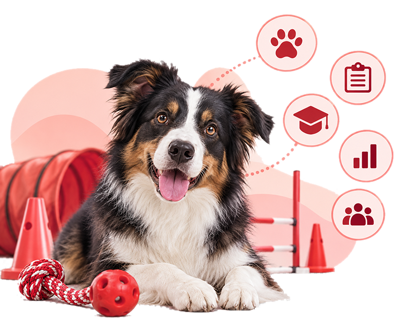 programa para adiestradores caninos y agility
