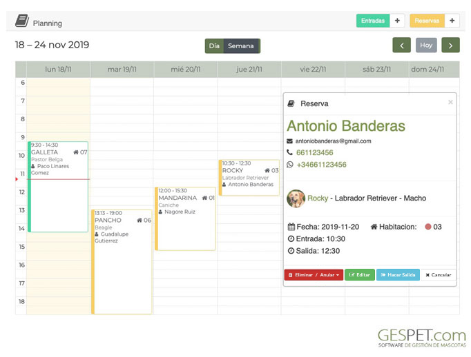  agenda hotel perros