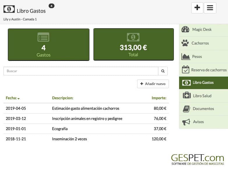 software gastos camadas 