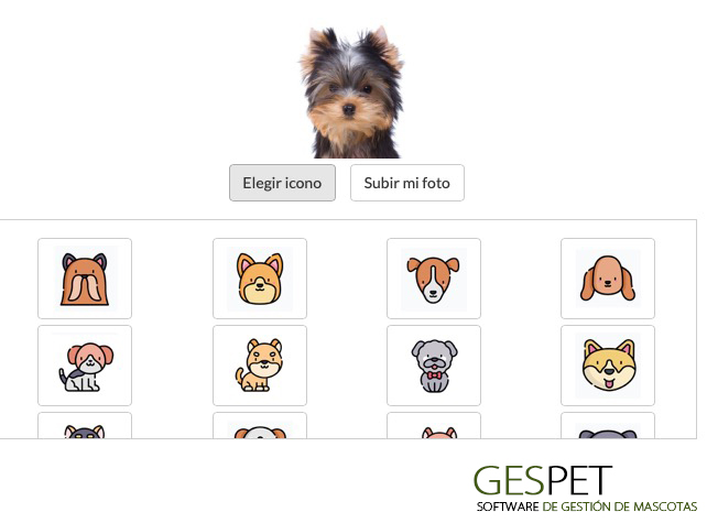 ficha de animal software razas perros y gatos