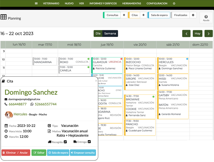 informe de productos y servicios rentables 