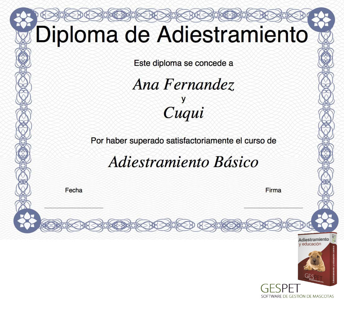 diploma adiestramiento perros