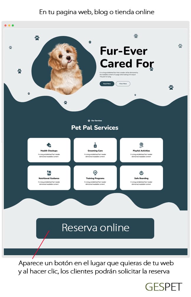 rentabilidad hotel gatos