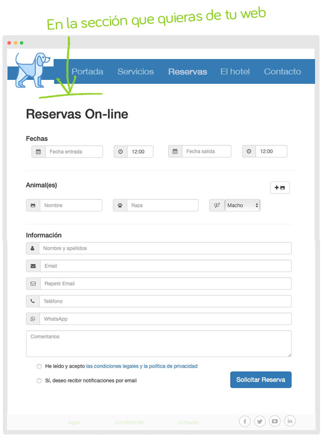 rentabilidad hotel gatos