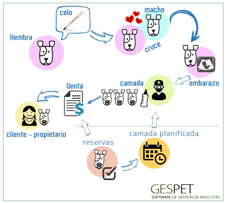 software cria funcionamiento general