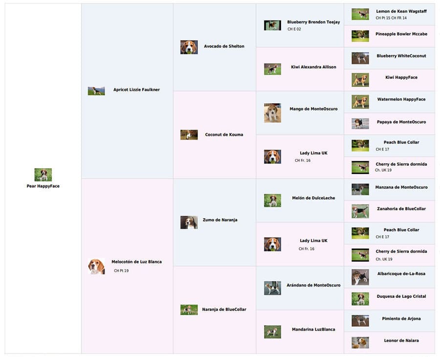 pedigree software