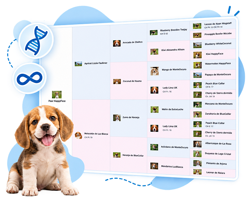 imprimir el pedigree