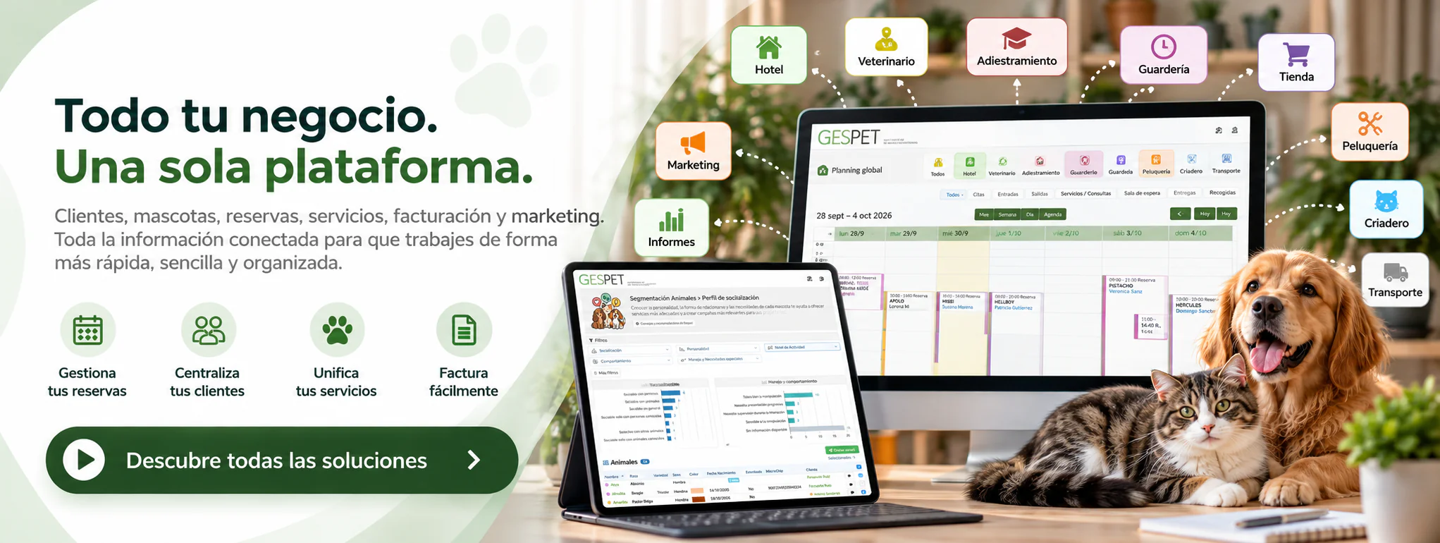 software para residencias y hoteles de mascotas