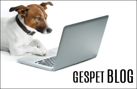 gespet reviews