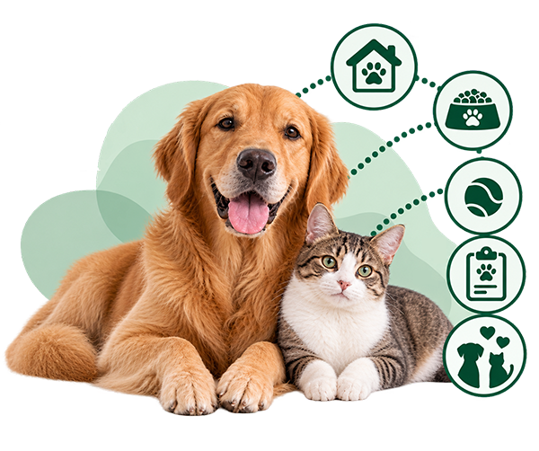 programa para guarderias caninas y guarderias felinas