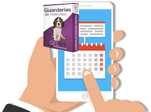 enviar recordatorios automaticos guarderia de perros