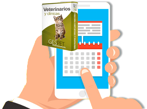 envío de recordatorios automáticos veterinarios