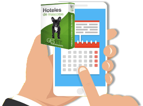 recordatorios automáticos de reservas para hotel de perros