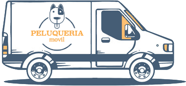 programa peluqueria movil