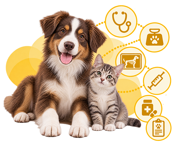 el mejor programa para veterinarios