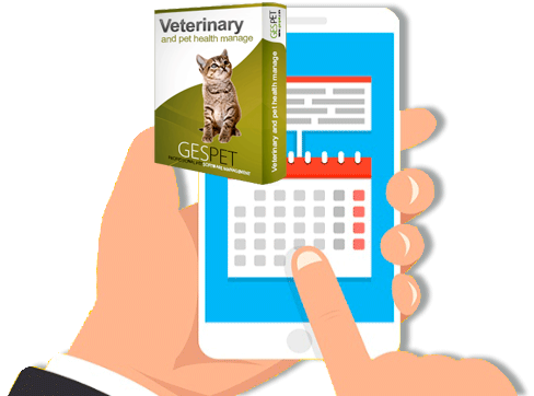 veterinary appointment auto reminder