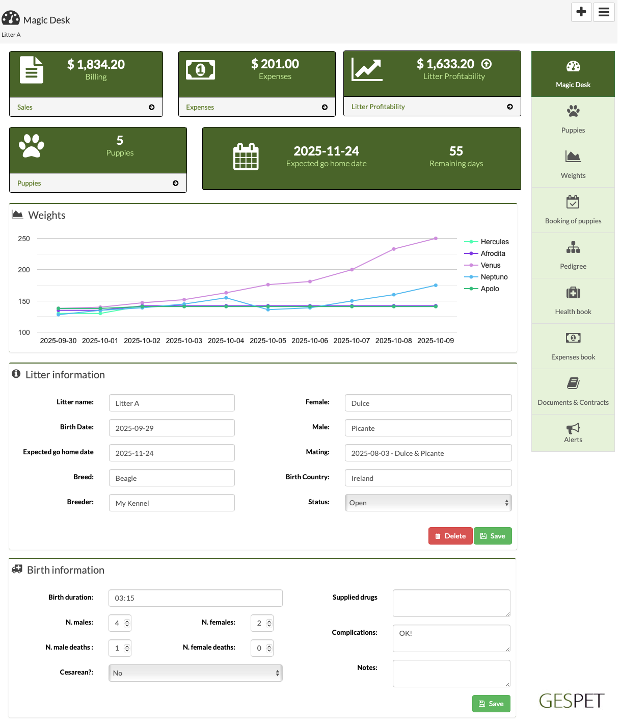 rentabilidad hotel gatos