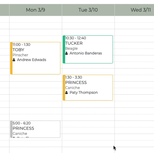 planning for veterinaries