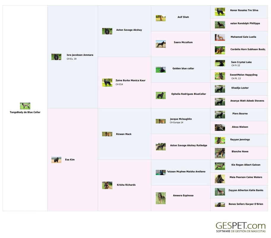 software print pedigree free