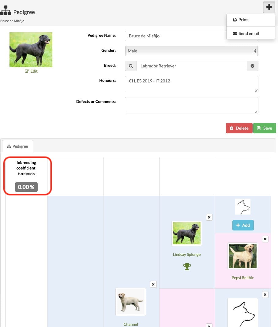 pedigree generator tool