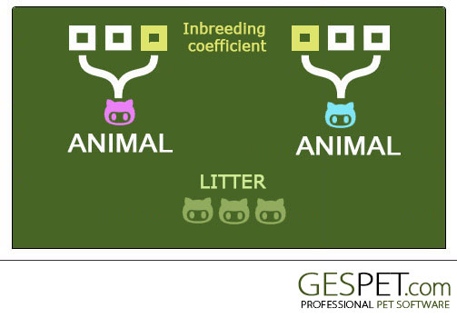 The most complete software for dog breeders with pedigree generator and consanguinity calculator screenshot for dog breeding and pedigree software