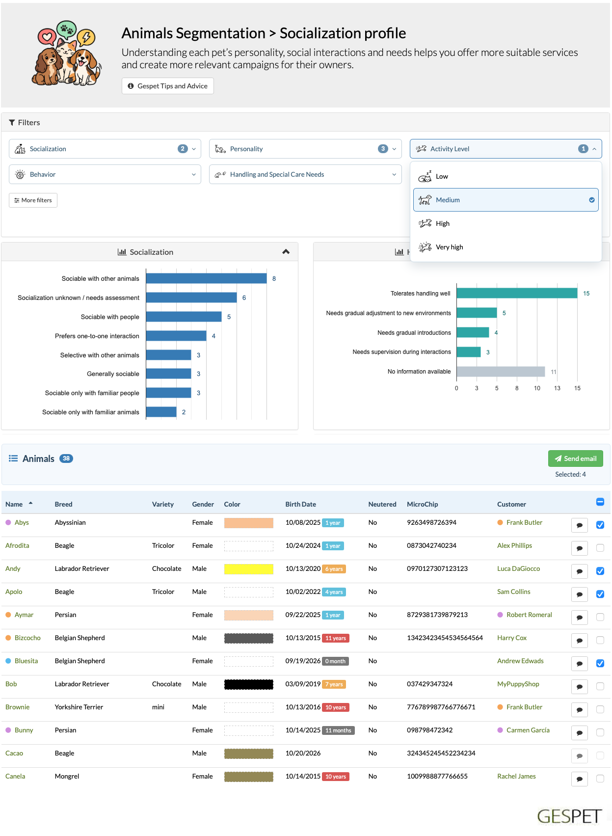 Pet segmentation report filtering socialization traits for targeted email campaigns in Gespet Marketing