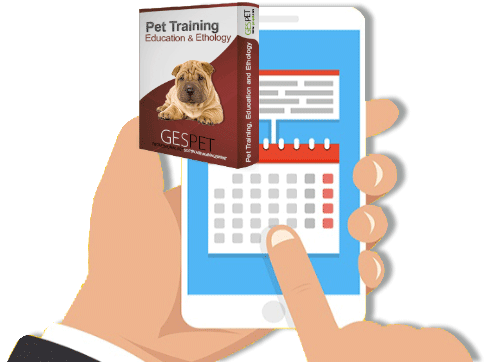 send automatic notifications to customers pet training