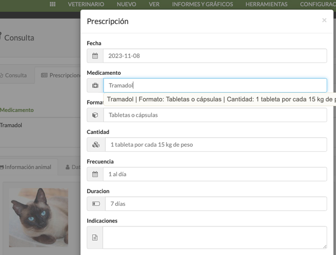  agenda hotel perros