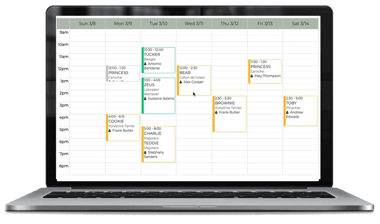 veterinary planning - veterinary agenda - veterinary diary