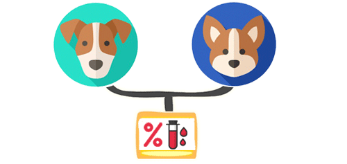 inbreeding coefficient and genetics tool for responsible dog breeding software
