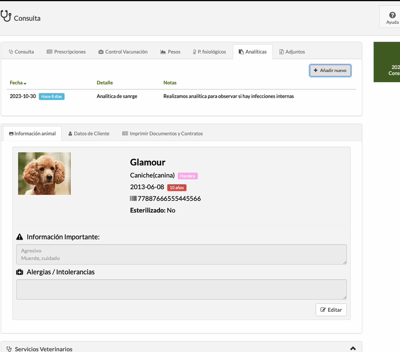 rentabilidad hotel gatos