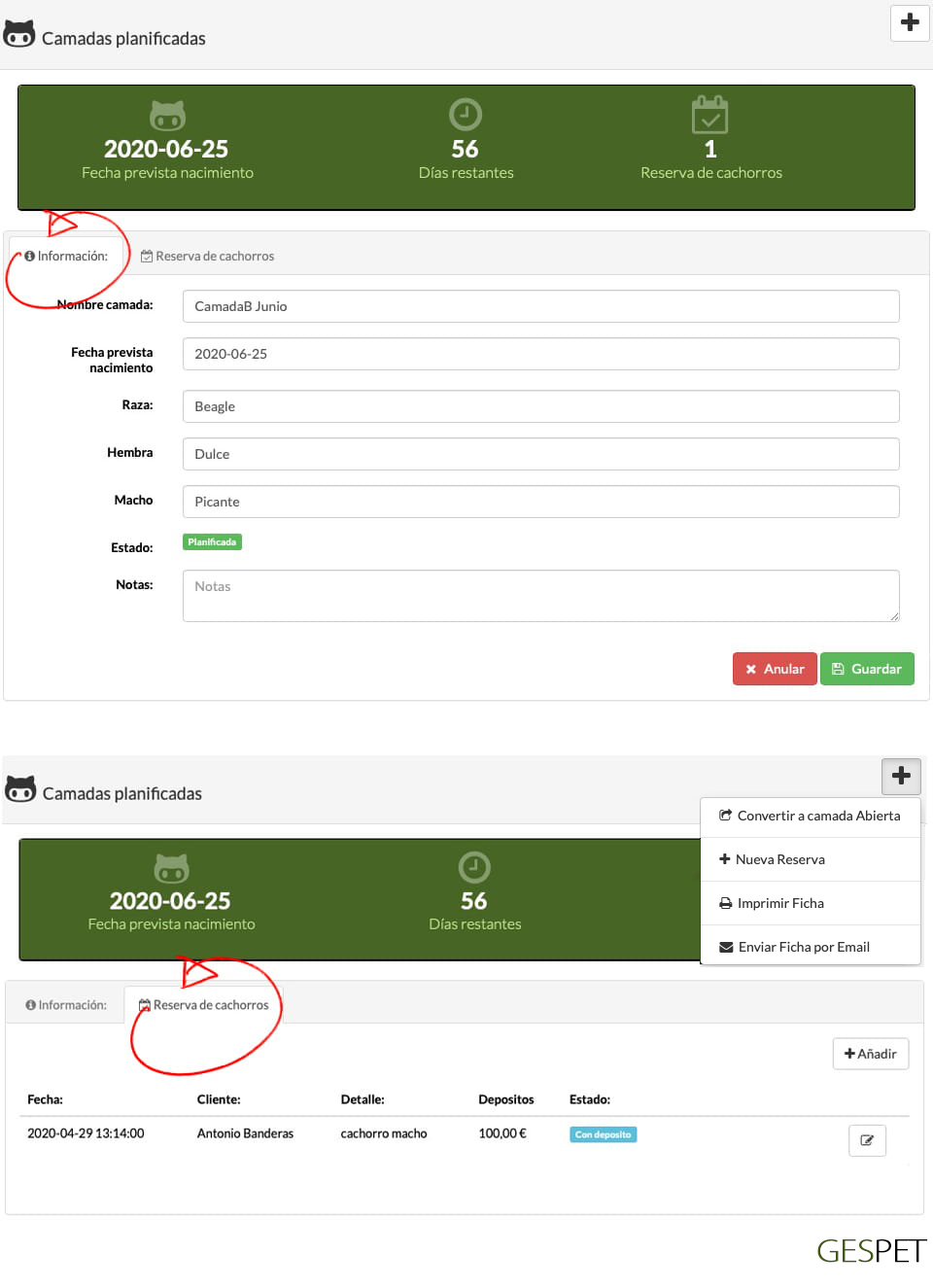 rentabilidad hotel gatos