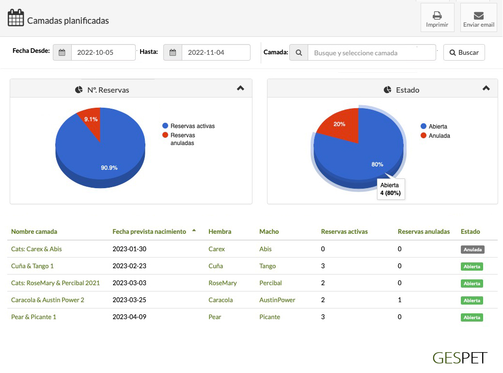 rentabilidad hotel gatos