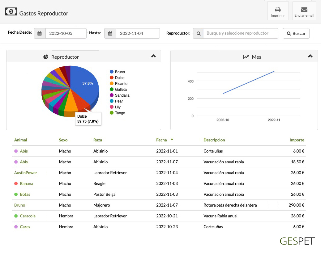 rentabilidad hotel gatos