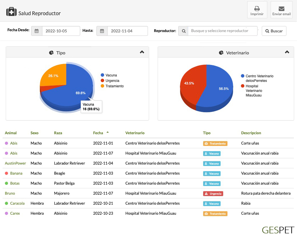 rentabilidad hotel gatos