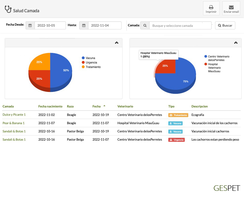 rentabilidad hotel gatos