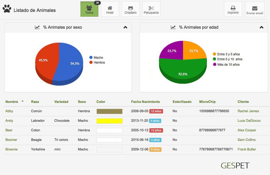 rentabilidad hotel gatos