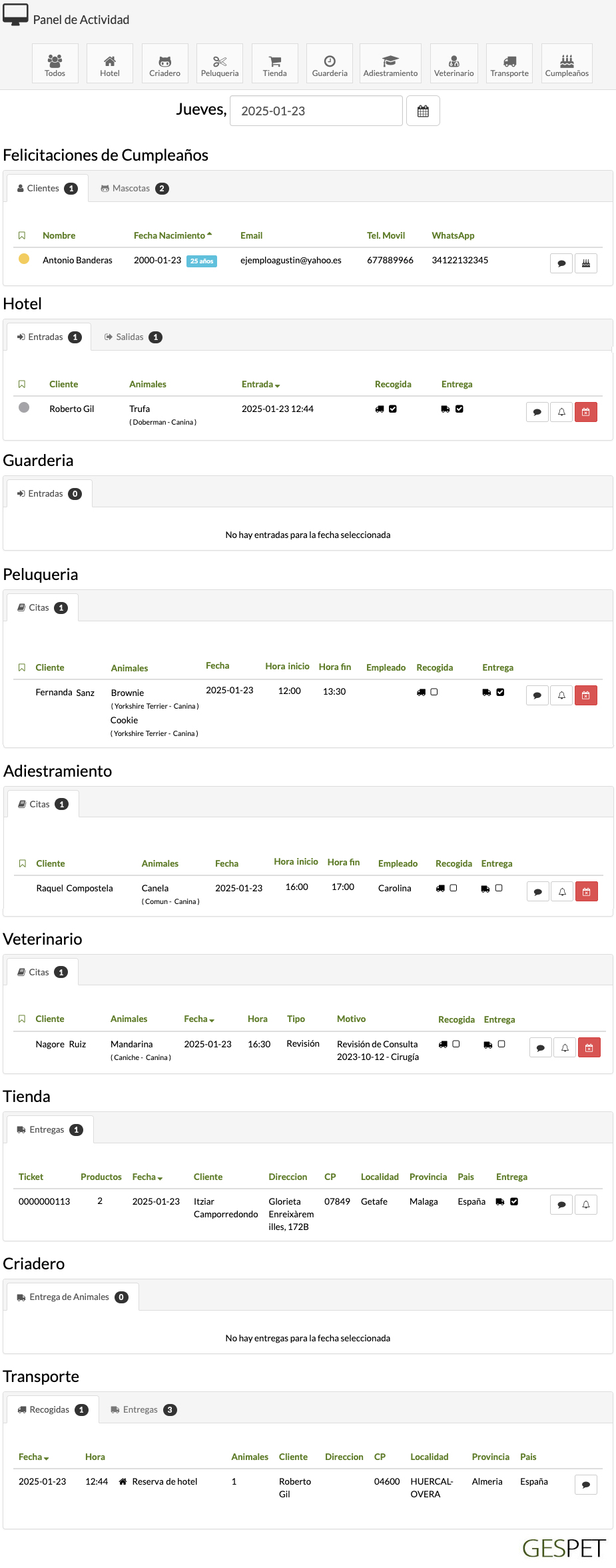 rentabilidad hotel gatos